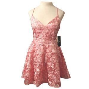 NWT Lulu's Pink Lace Dress